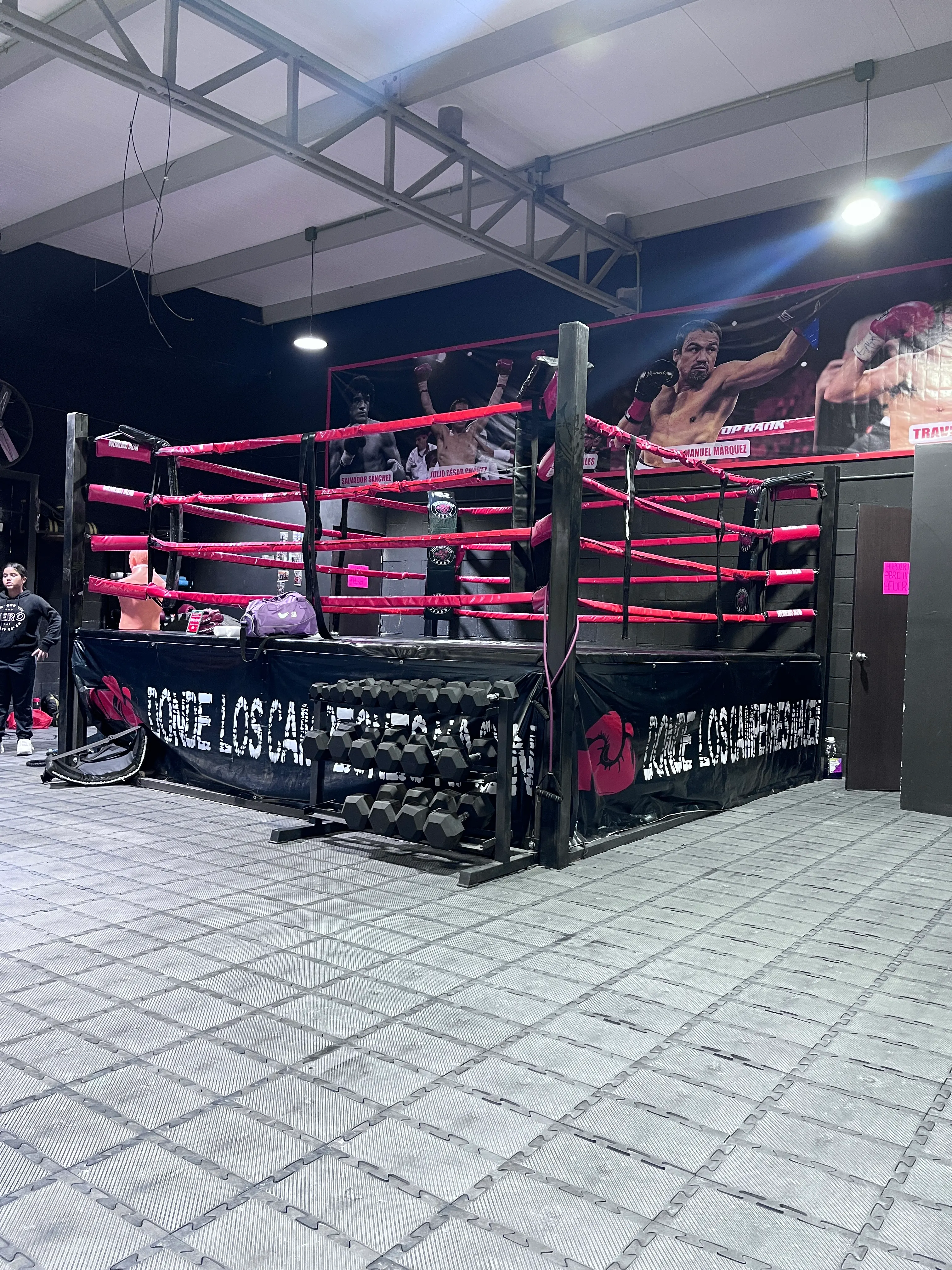 Ring de box de Guerreros Jazar en Plaza Vía Gavia