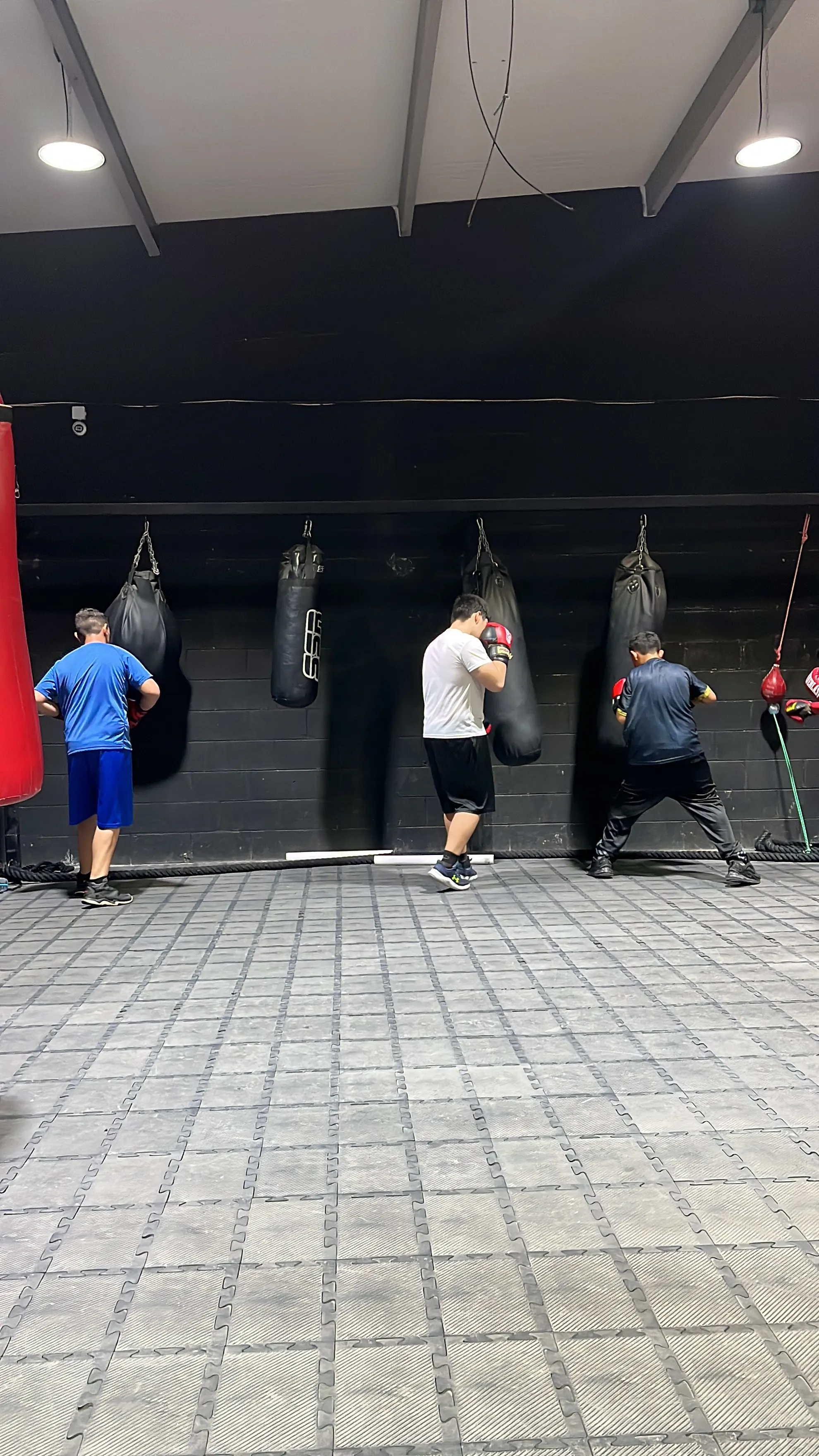Línea de costales con personas entrenando box en Guerreros Jazar