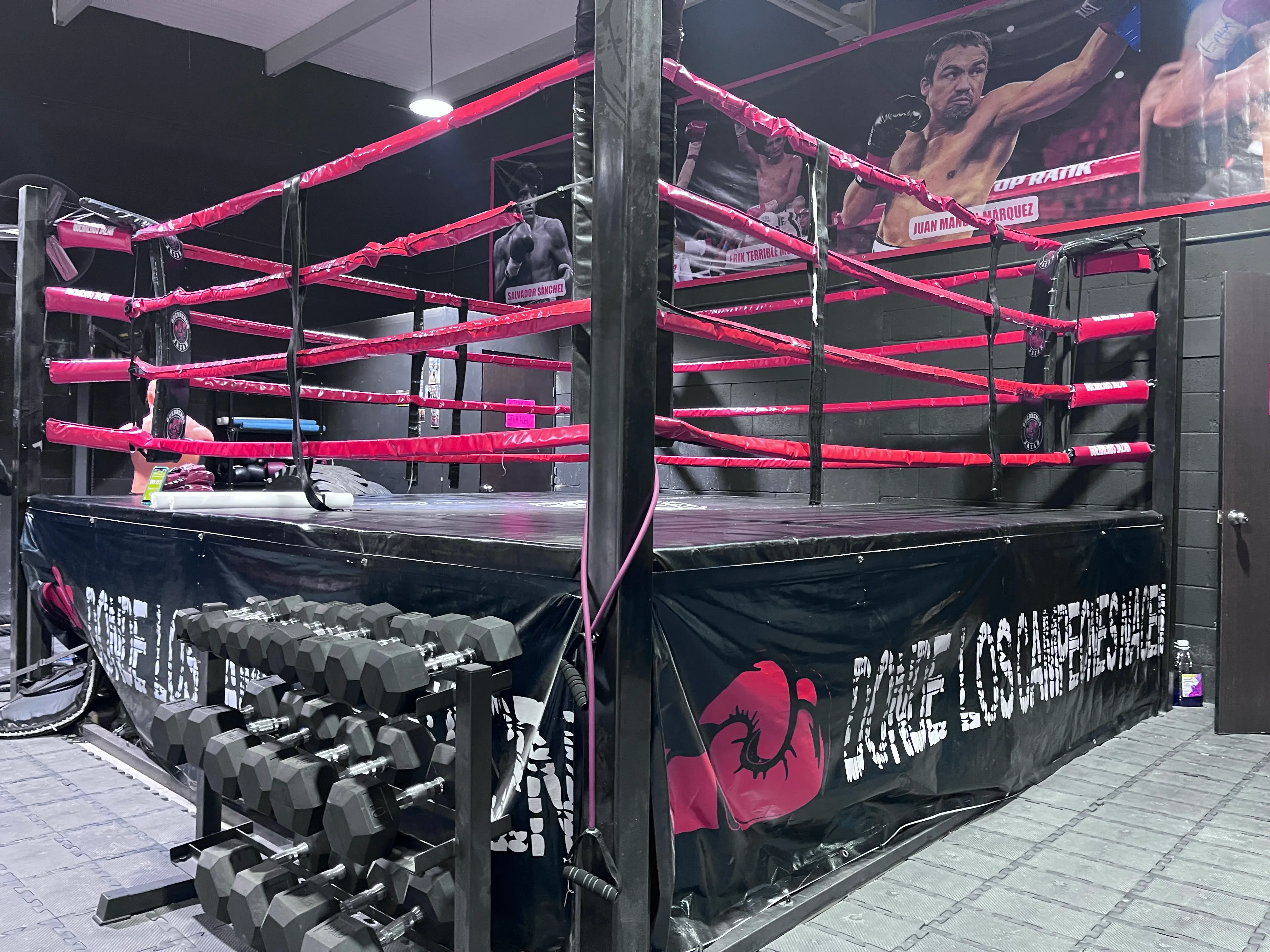 Ring de box de Guerreros Jazar en Plaza Vía Gavia, con cuerdas rosas y mancuernas al frente
