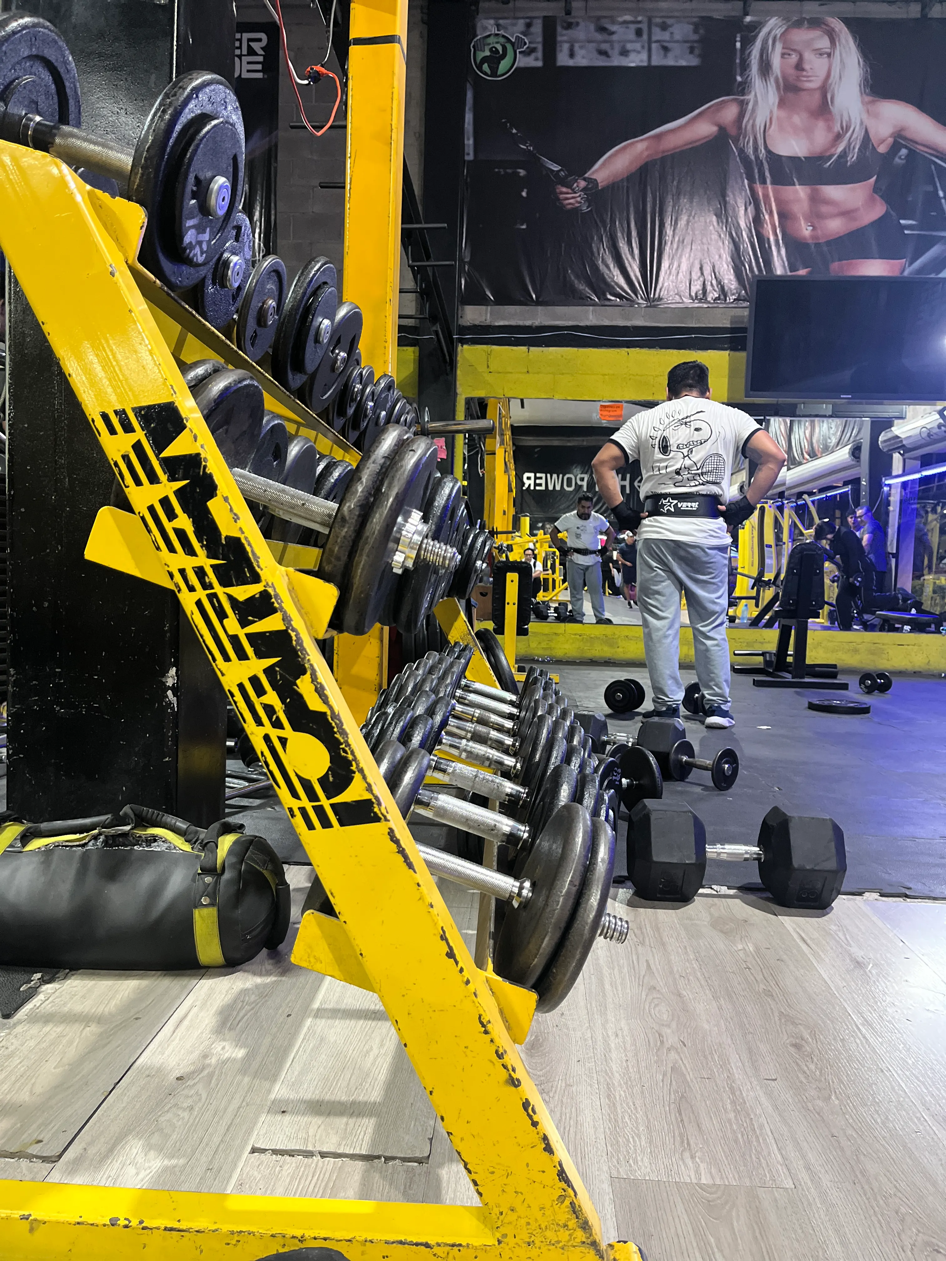 Rack de discos y mancuernas en el área de pesas de Gym & Fitness Jazar, Villa Sur